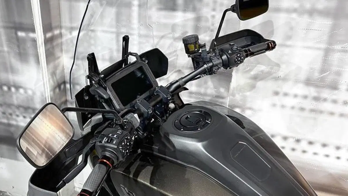 Harley-Davidson Pan America 1250 (2020 - 25)  (6)
