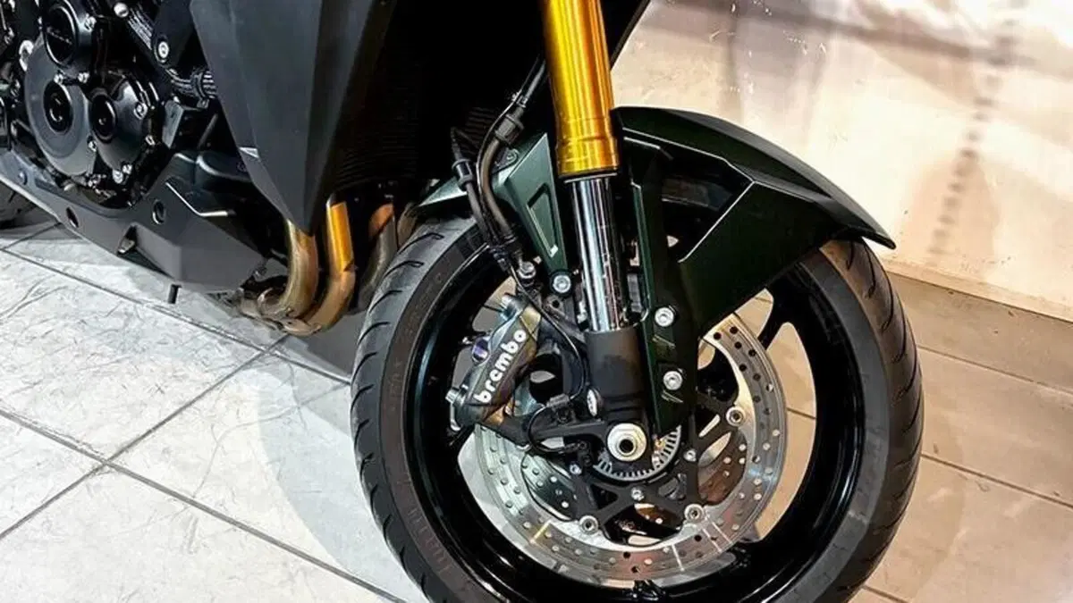 Suzuki GSX-S1000 (2021 - 25)  (5)