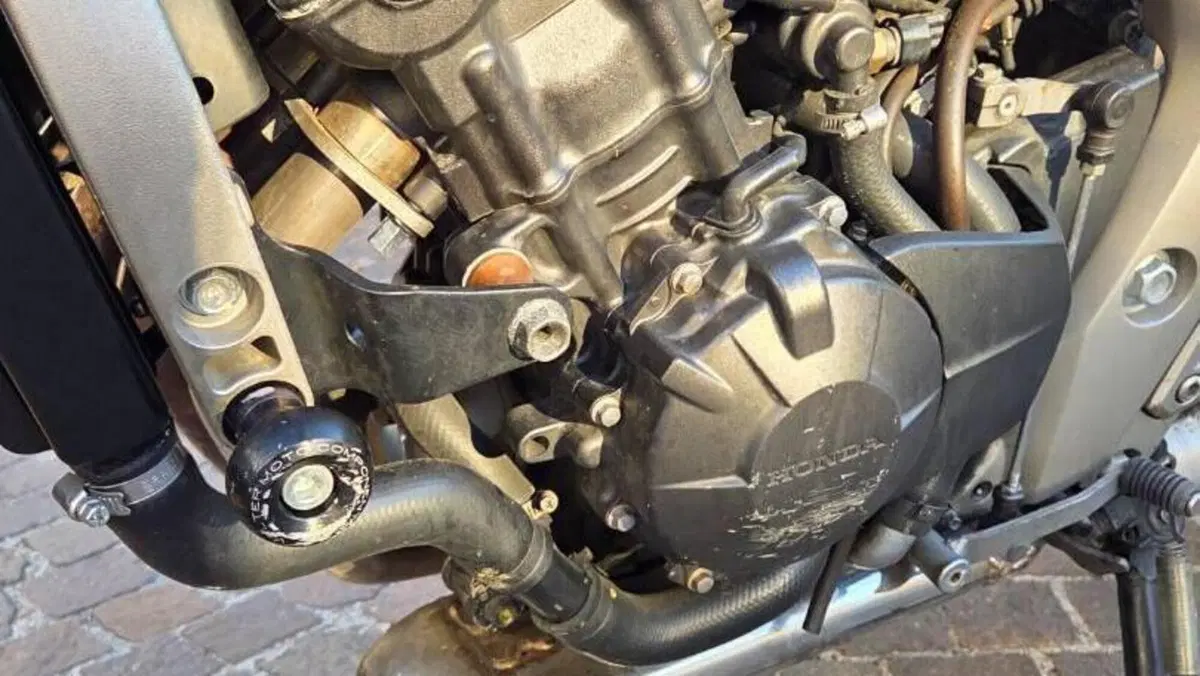 Honda Hornet 600 (2007 - 10)  (5)
