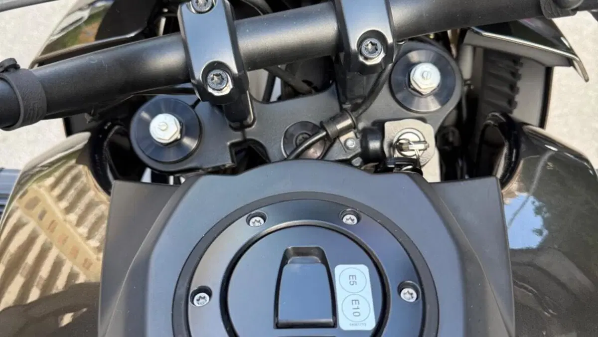 Harley-Davidson Pan America 1250 (2020 - 25)  (8)