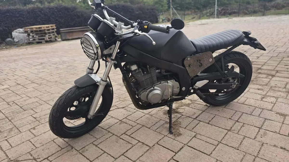 Suzuki GS 500 (2001 - 06) 