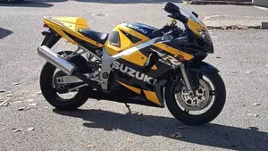 Suzuki GSX R 600 (2001 - 03)  (4)