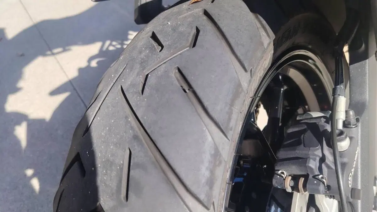 Ducati Multistrada 950 S (2019 - 20)  (8)