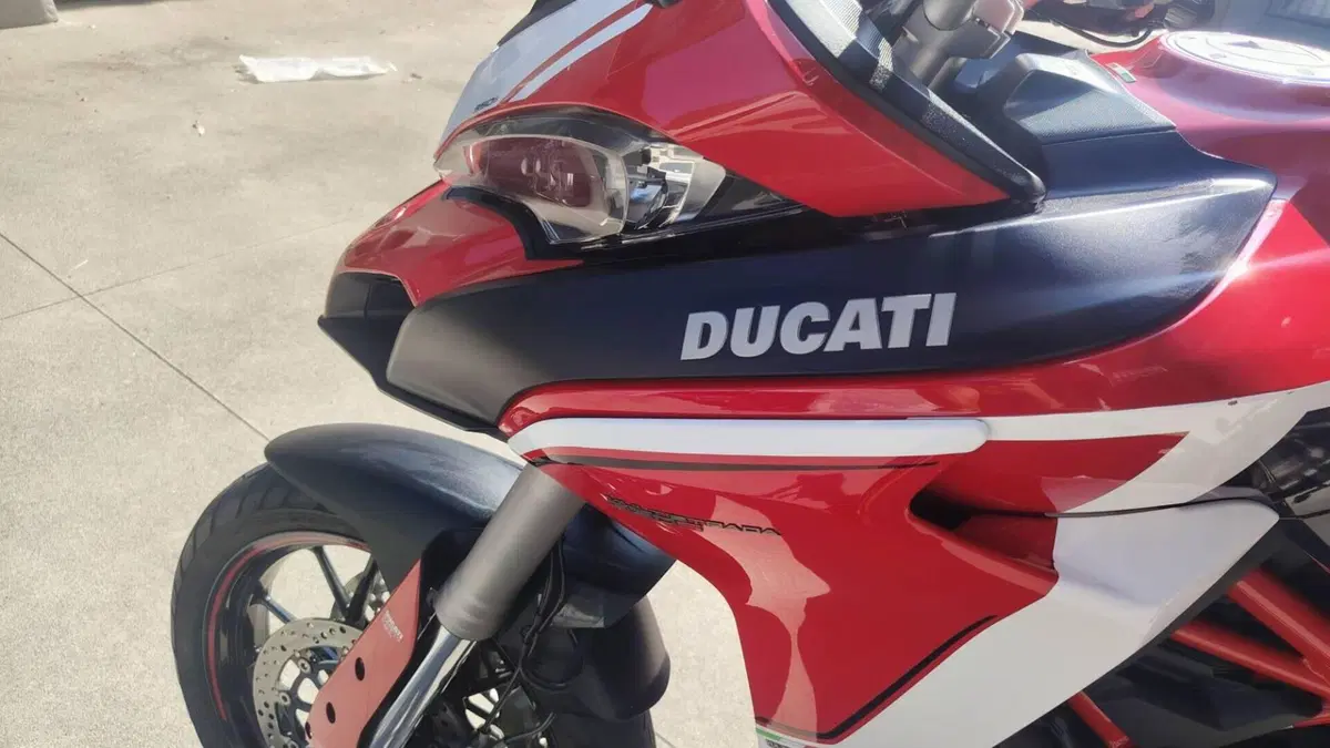 Ducati Multistrada 950 S (2019 - 20)  (18)