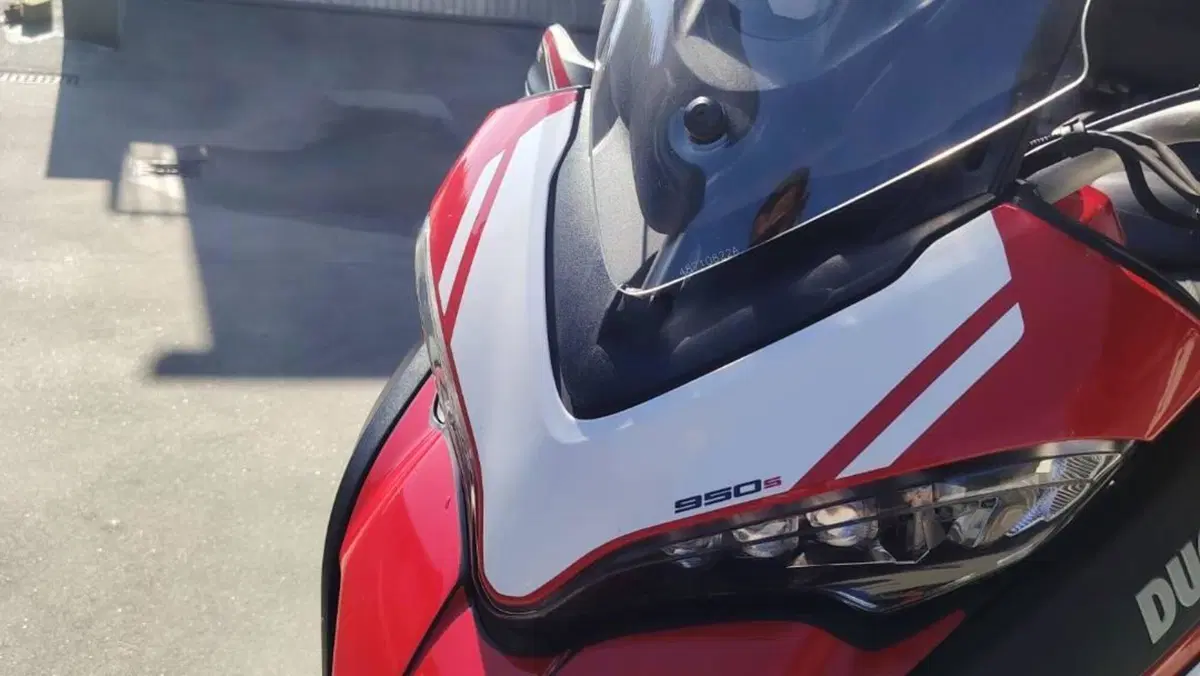 Ducati Multistrada 950 S (2019 - 20)  (19)