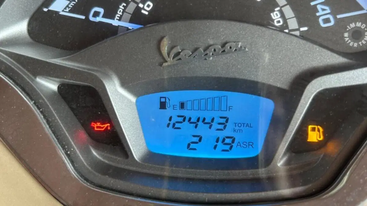 Vespa GTS 300 Hpe (2019)  (4)