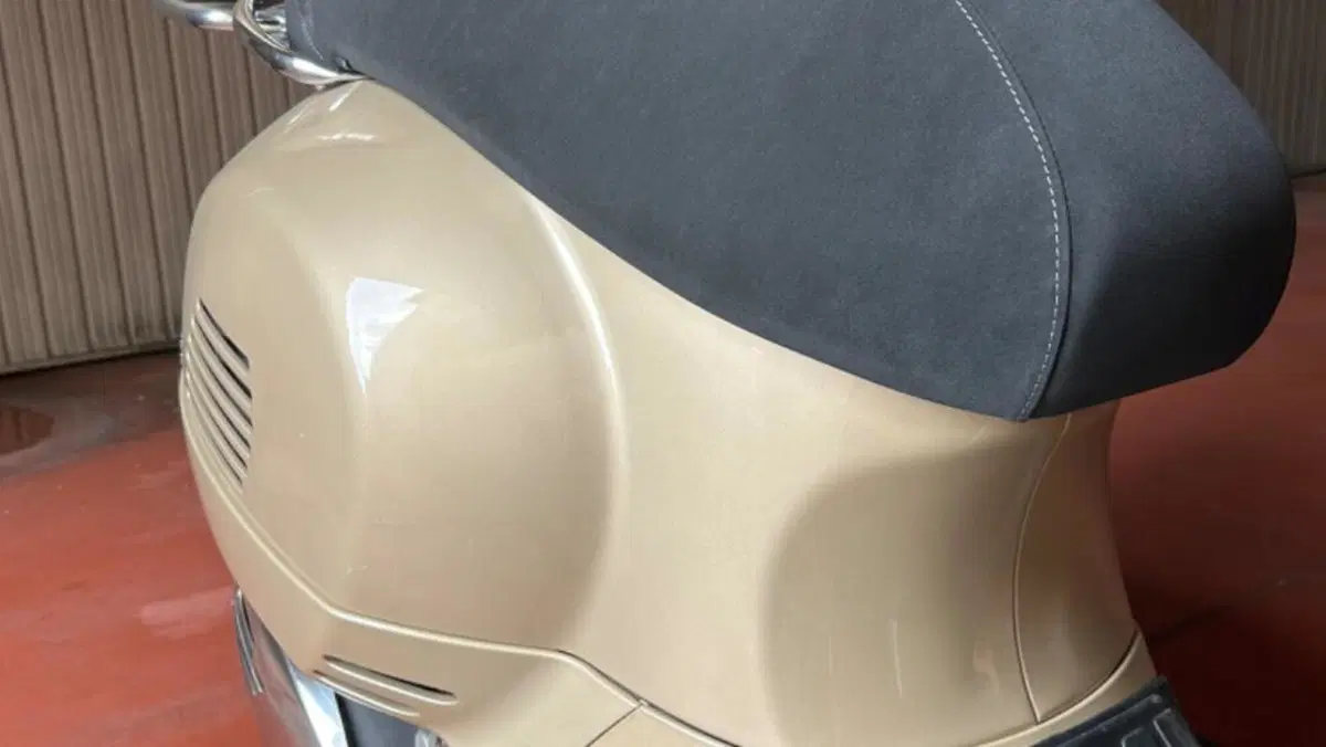 Vespa GTS 300 Hpe (2019)  (6)