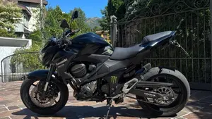 Kawasaki Z 800 ABS (2012 - 16)  (6)