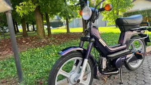 Piaggio   (14)