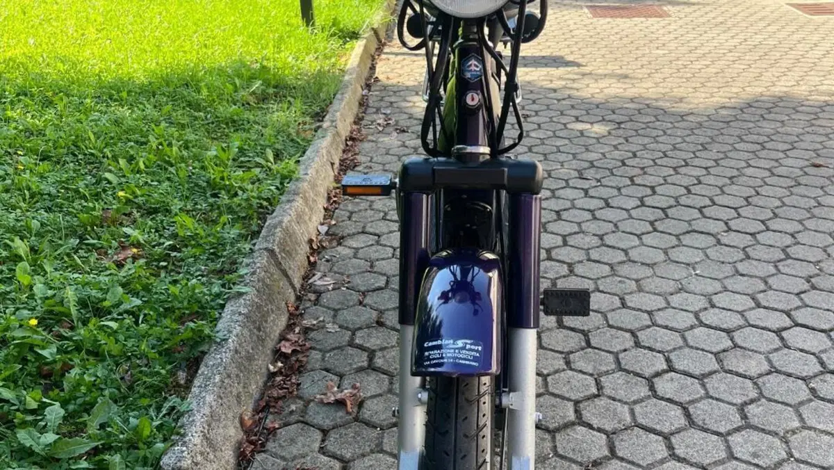 Piaggio   (19)