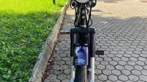 Piaggio   (19)