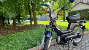 Piaggio   (20)