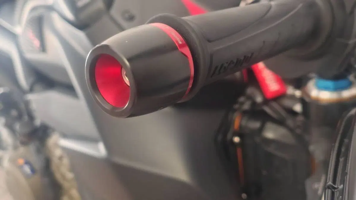 Ducati Streetfighter V4 1100 S (2021 - 22)  (10)