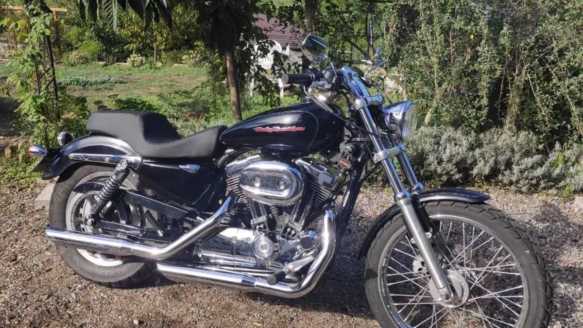 Harley-Davidson 1200 Custom (2004 - 06) - XL 1200C  (2)