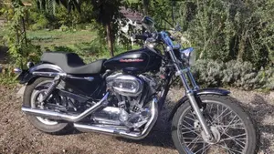 Harley-Davidson 1200 Custom (2004 - 06) - XL 1200C  (2)