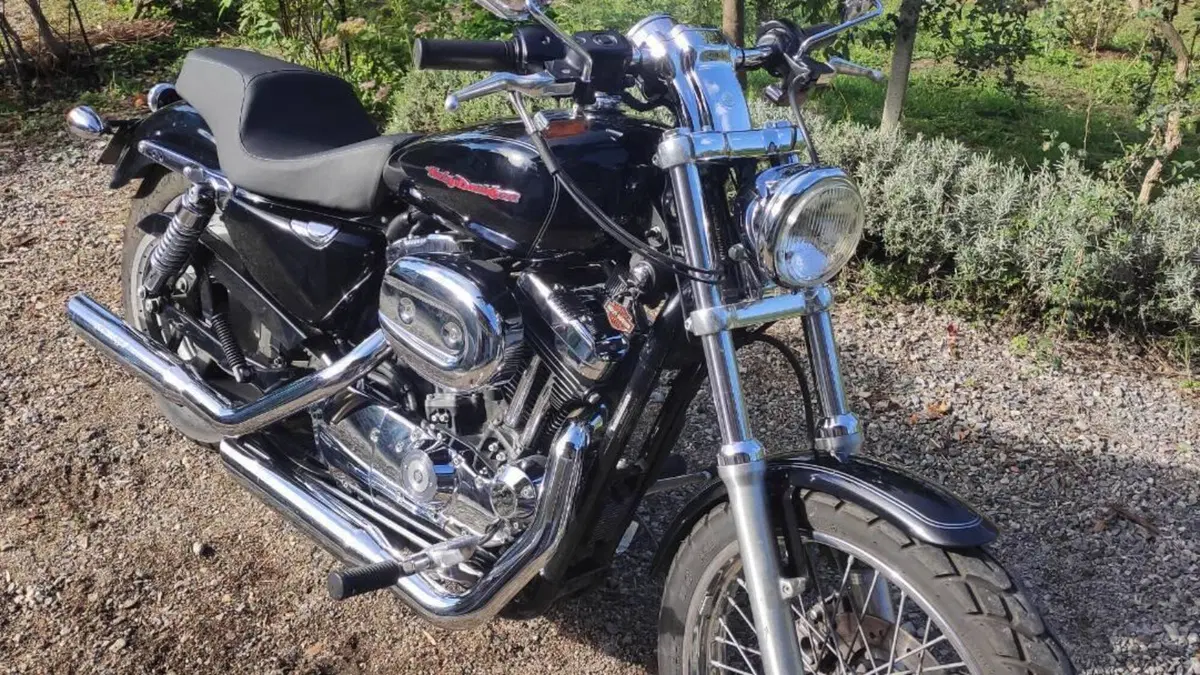 Harley-Davidson 1200 Custom (2004 - 06) - XL 1200C  (4)