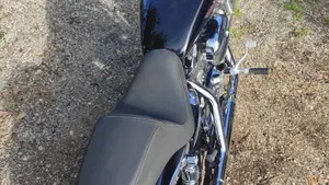 Harley-Davidson 1200 Custom (2004 - 06) - XL 1200C  (7)