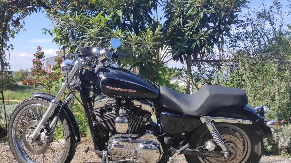 Harley-Davidson 1200 Custom (2004 - 06) - XL 1200C  (3)