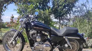 Harley-Davidson 1200 Custom (2004 - 06) - XL 1200C  (3)