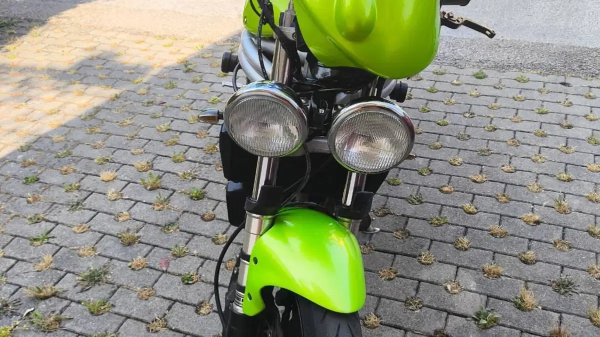 Triumph Speed Triple 955 (1998 - 01)  (4)