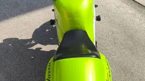 Triumph Speed Triple 955 (1998 - 01)  (6)