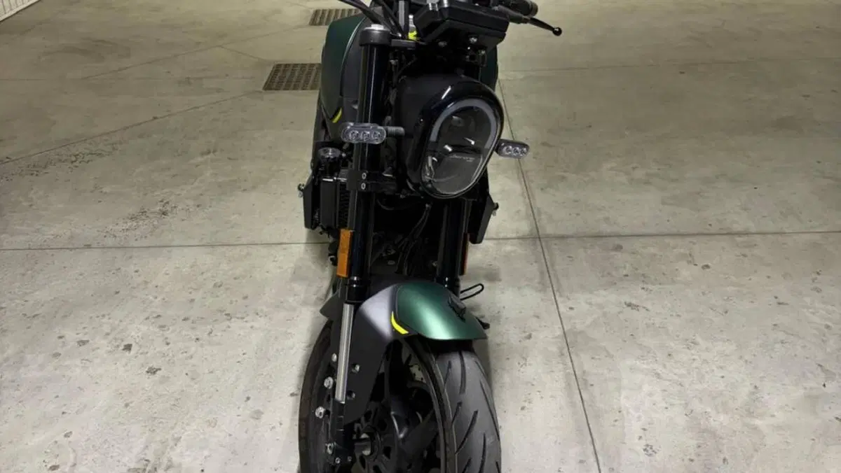 Benelli Leoncino 125 (2022 - 25)  (2)