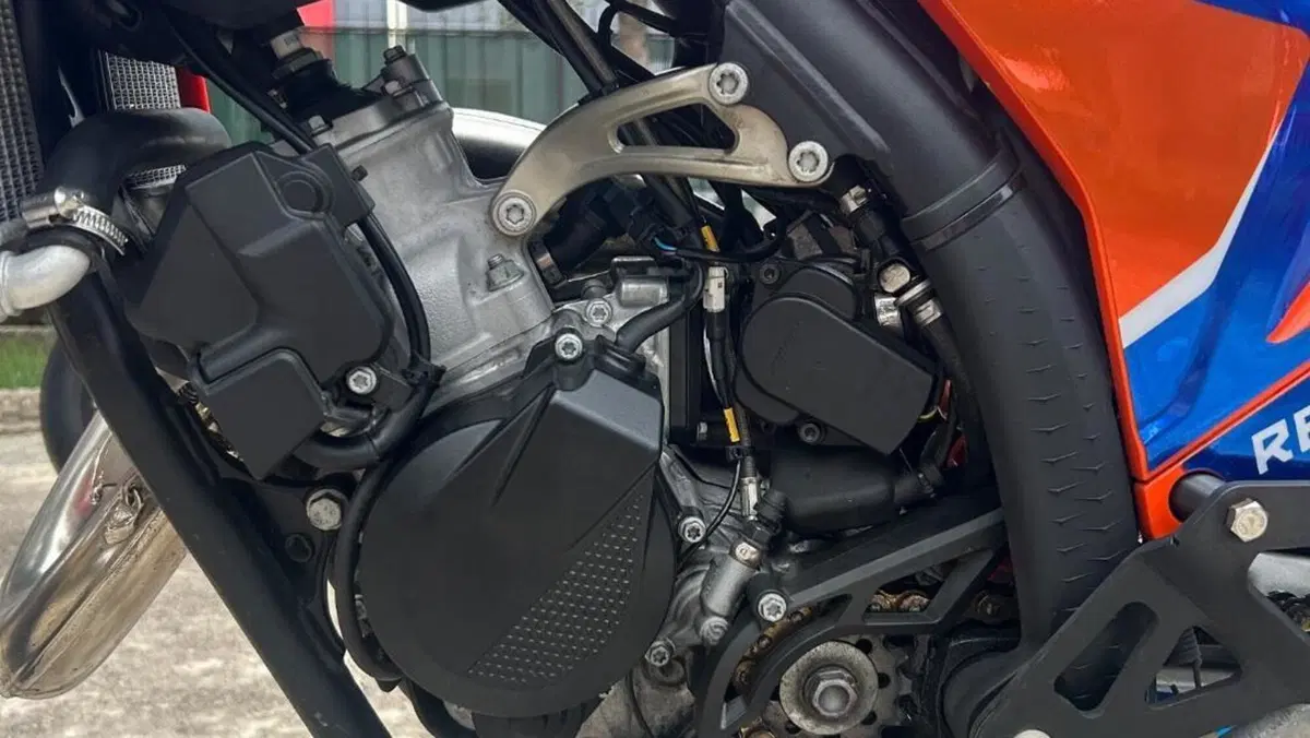 KTM 125 SX (2024)  (8)