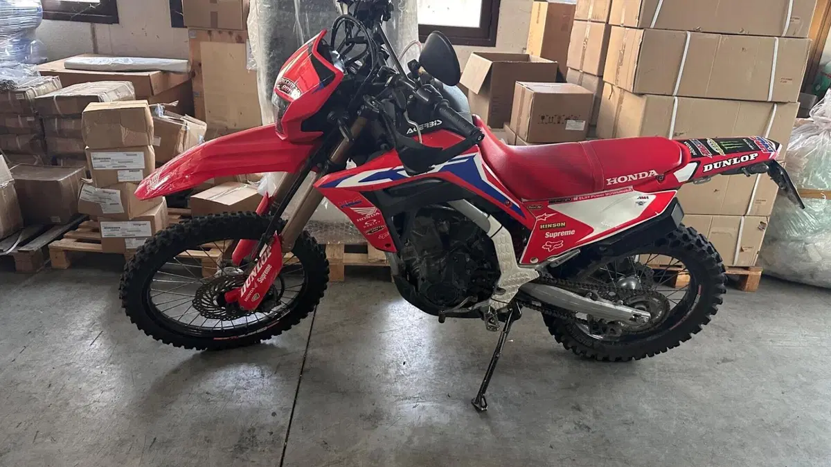 Honda CRF 300L (2021 - 24)  (3)