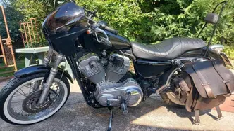 Harley-Davidson 883 Low (2005) - XL 883L usata