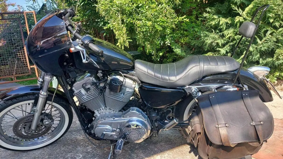 Harley-Davidson 883 Low (2005) - XL 883L  (3)