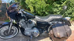 Harley-Davidson 883 Low (2005) - XL 883L  (3)
