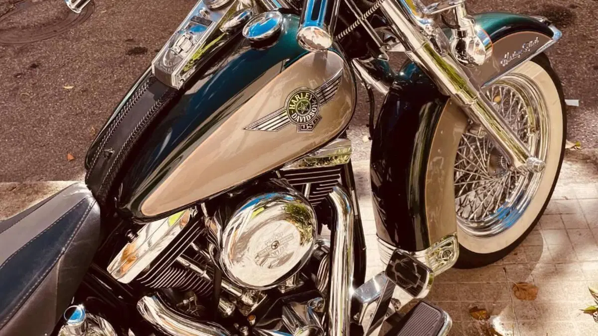 Harley-Davidson 1340 Heritage Special (1993 - 96) 