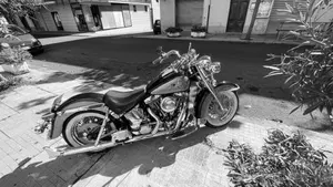 Harley-Davidson 1340 Heritage Special (1993 - 96)  (2)