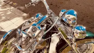 Harley-Davidson 1340 Heritage Special (1993 - 96)  (3)
