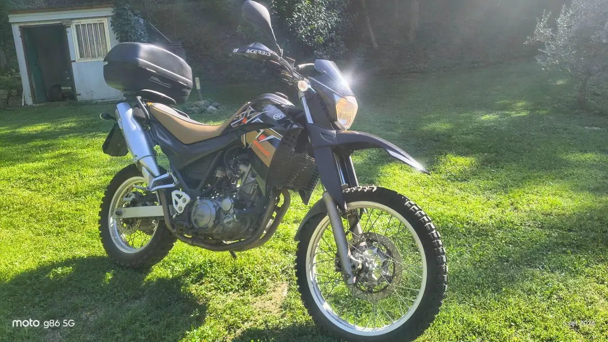 Yamaha XT 660 R (2004 - 16)  (5)