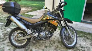 Yamaha XT 660 R (2004 - 16)  (6)