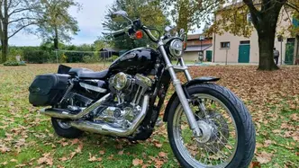 Harley-Davidson 1200 Low (2006 - 07) - XL 1200L