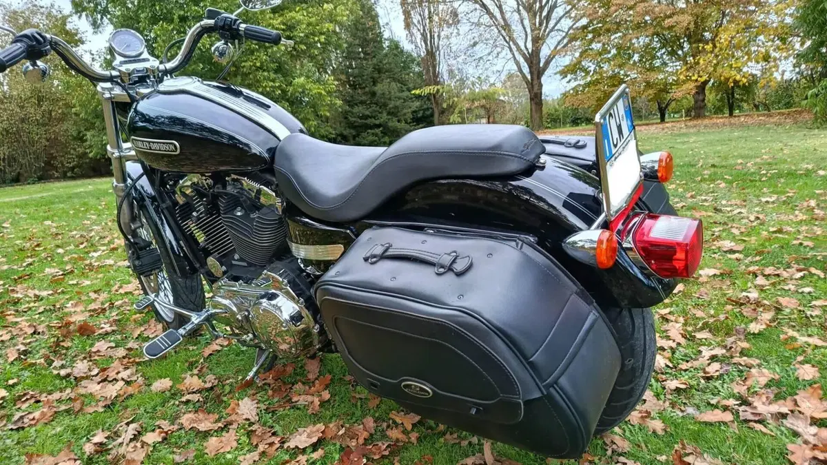Harley-Davidson 1200 Low (2006 - 07) - XL 1200L  (2)