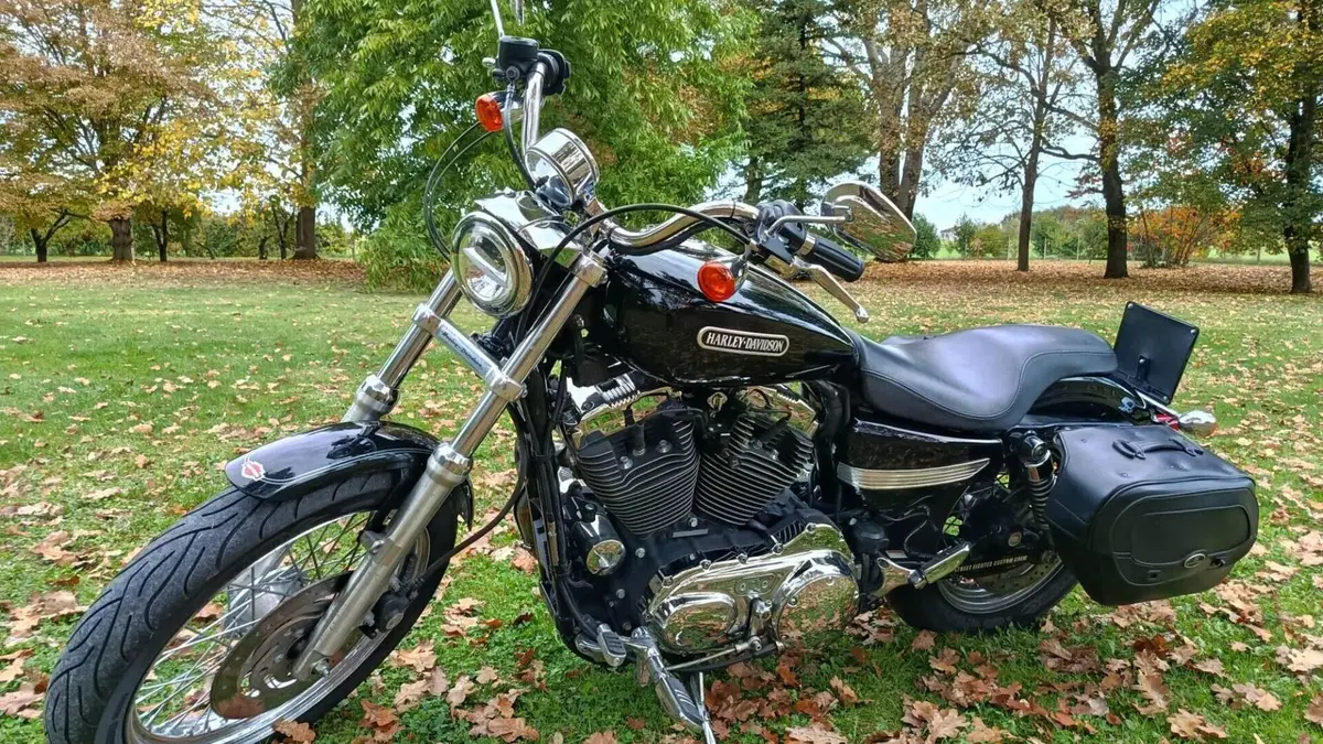 Harley-Davidson 1200 Low (2006 - 07) - XL 1200L  (3)