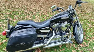 Harley-Davidson 1200 Low (2006 - 07) - XL 1200L  (4)