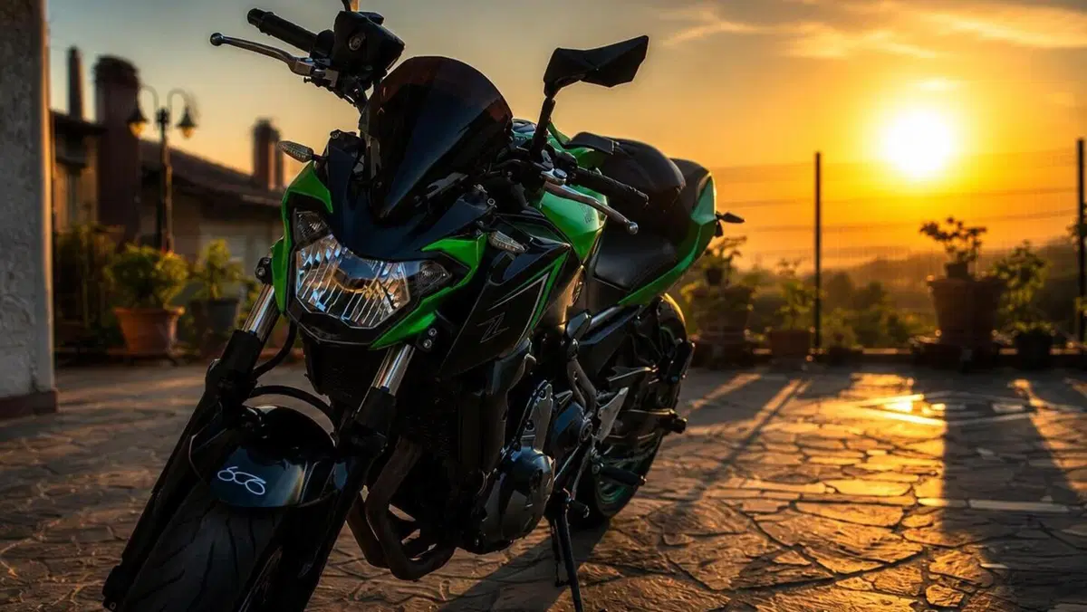 Kawasaki Z 650 (2017 - 19) 