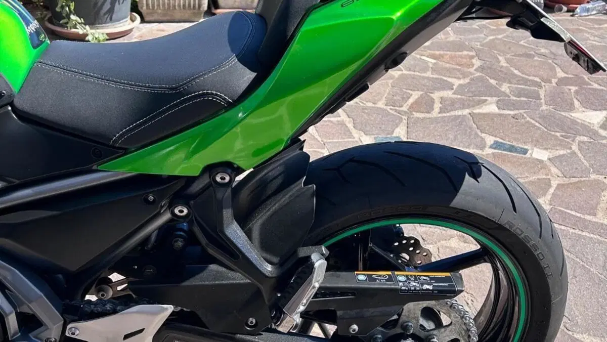 Kawasaki Z 650 (2017 - 19)  (4)