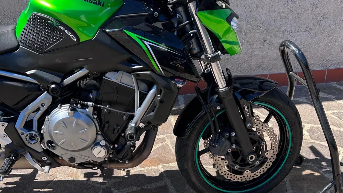 Kawasaki Z 650 (2017 - 19)  (7)
