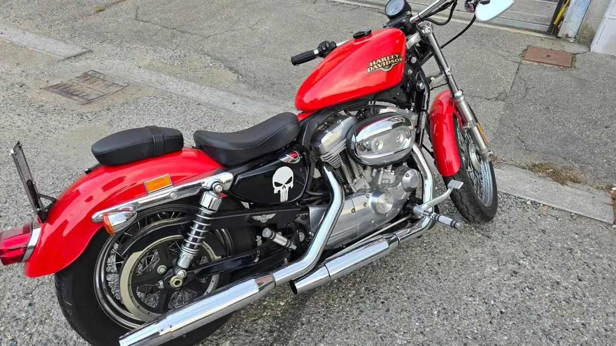 Harley-Davidson 883 Low (2008 - 12) - XL 883L  (2)
