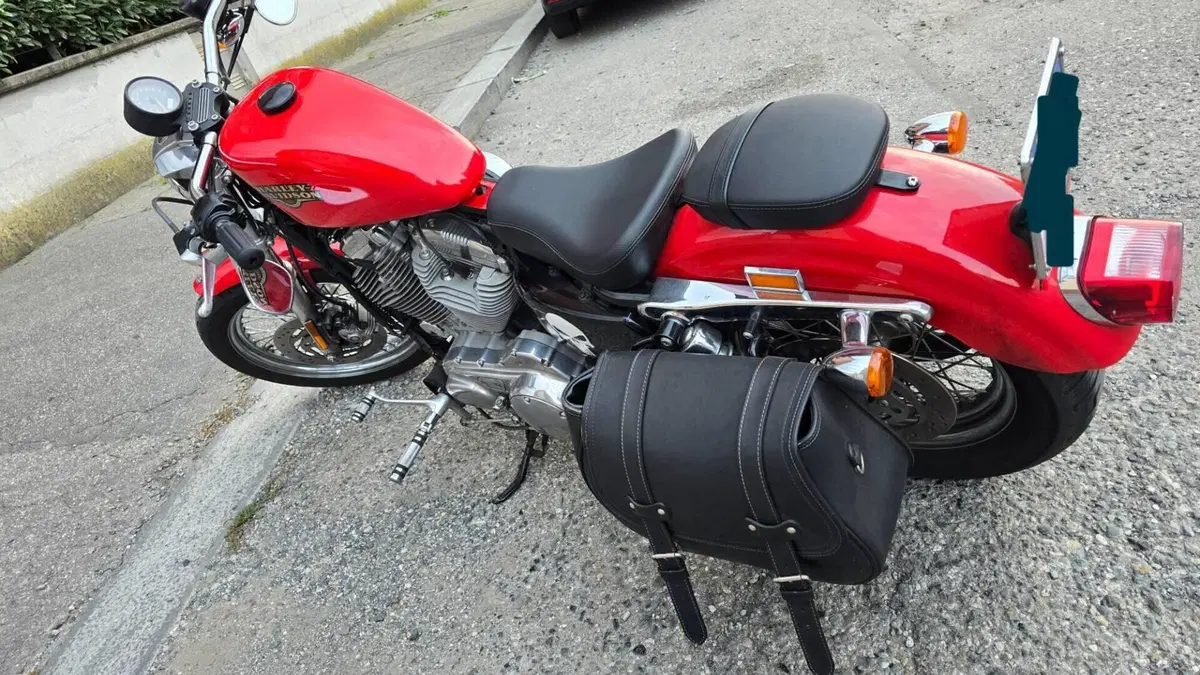 Harley-Davidson 883 Low (2008 - 12) - XL 883L  (3)