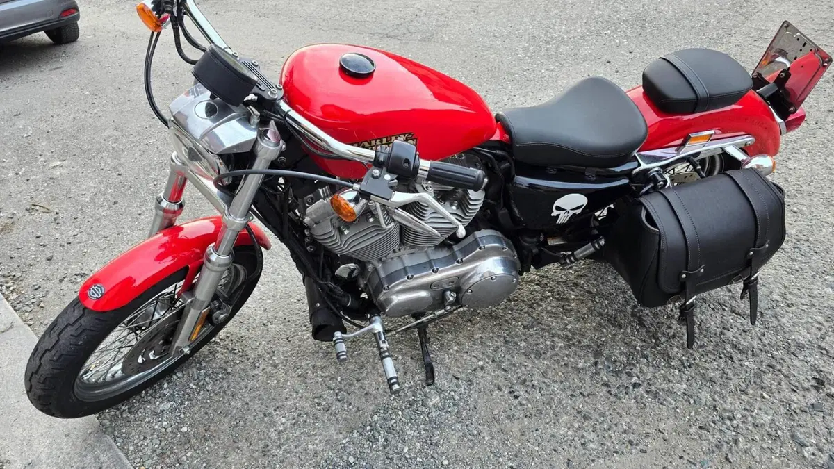 Harley-Davidson 883 Low (2008 - 12) - XL 883L  (4)