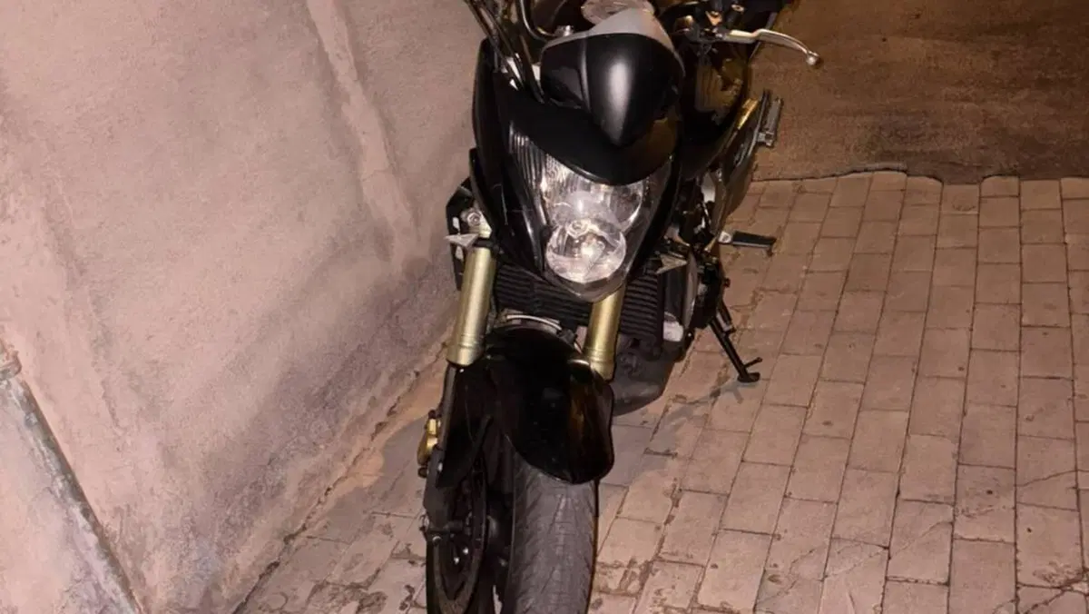 Honda Hornet 600 (2007 - 10) 
