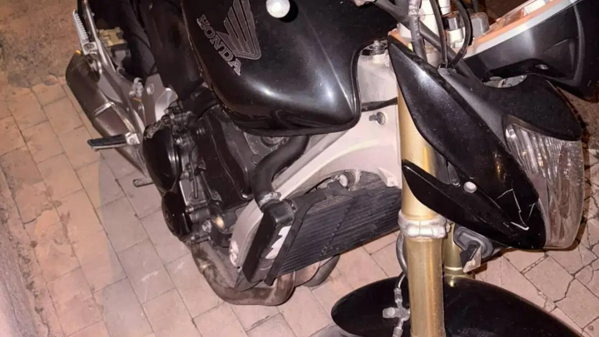 Honda Hornet 600 (2007 - 10)  (2)