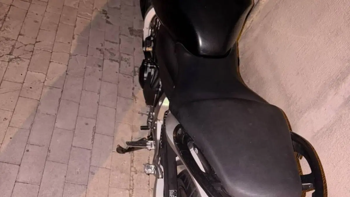 Honda Hornet 600 (2007 - 10)  (3)