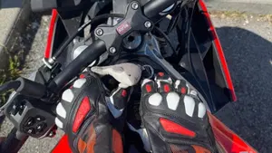 Aprilia Tuono 660 Factory (2022 - 24)  (4)